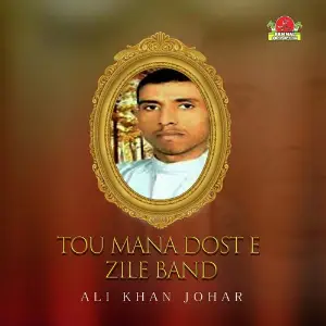 Tou Mana Dost E Zile Band image