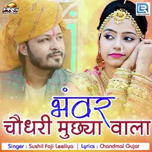 Bhanwar Choudhary Muchhiya Wala image