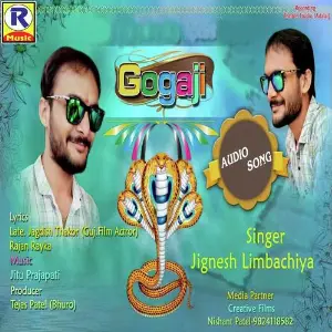 Mara Raja Gogaji image