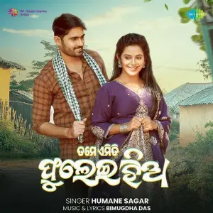 Tame Emiti Phulei Jhia image