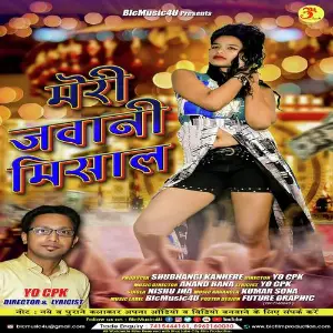 Meri Jawani Misaal ( Remix) image