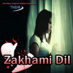 Zakhmi Dil Various Artists