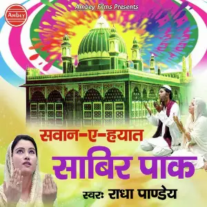 Sawan-E-Hayat Sabir Pak image