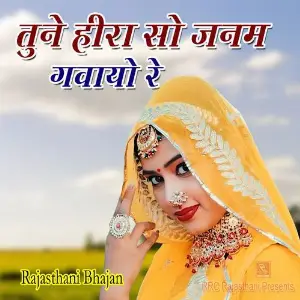 Tune Heera So Janam Gavayo Re image