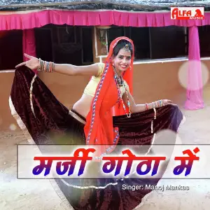 Marji Gota Mein image