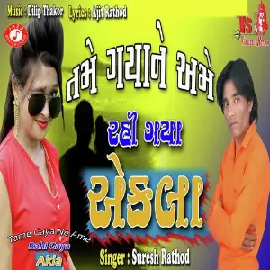 Tame Gaya Ne Ame Rahi Gaya Akla image