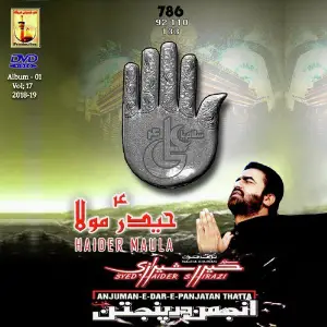 Haider Moula, Vol. 17 image