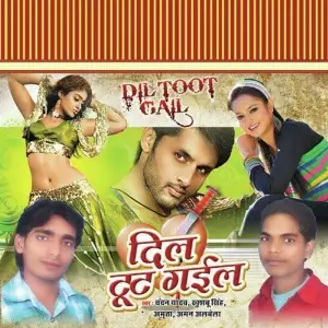 Dil Toot Gayil image