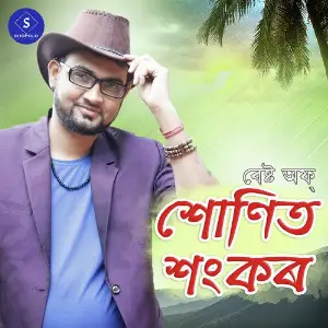 Best of Sonit Sankar image