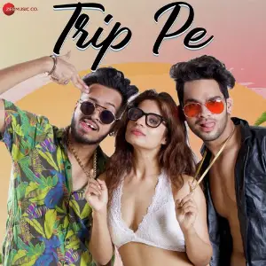 Trip Pe image