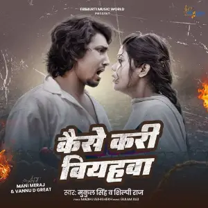 Kaise Kari Biyahwa image