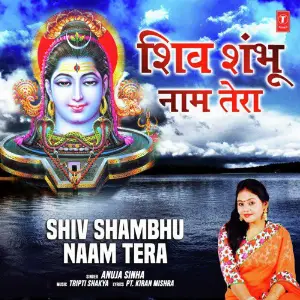 Shiv Shambhu Naam Tera image