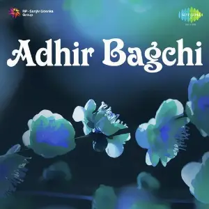 Adhir Bagchi image