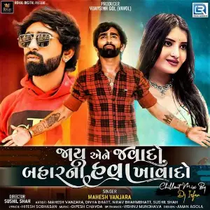 Jaay Aene Javado Baharni Hava Khavado (Chillout Mix By Dj Irfan) image