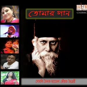 Tomar Gaan image