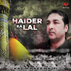 Haider Ka Lal image