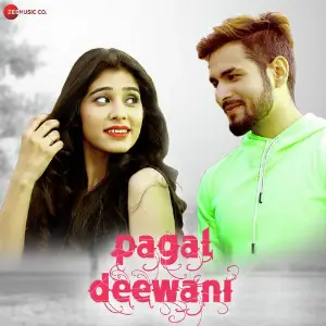 Pagal Deewani image