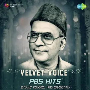 Velvet Voice - PBS Hits image