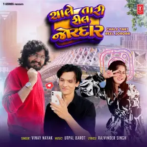 Chale Tari Reel Jordar image