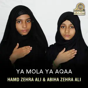 Ya Mola Ya Aqaa image