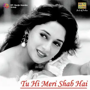 Tu Hi Meri Shab Hai Various Artists