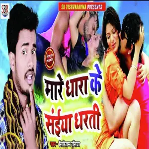 Mare Dhara Ke Saiya Dharti image