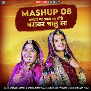 Mashup 08 Bansa Na Aage Na Piche Barabar Chalu Sa image