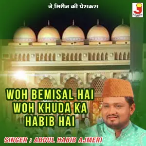 Woh Bemisal Hai Woh Khuda Ka Habib Hai image