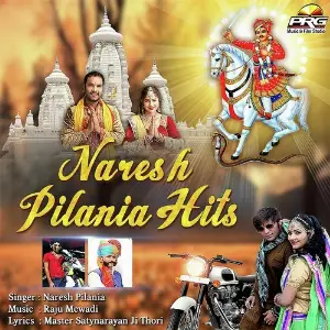 Naresh Pilania Hits image