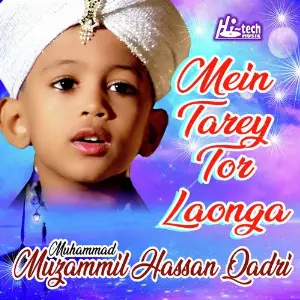 Mein Tarey Tor Laonga image