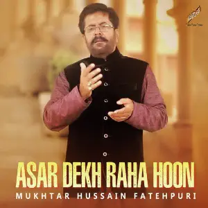 Asar Dekh Raha Hoon - Single image