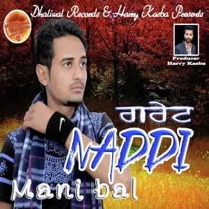 Great Naddi image