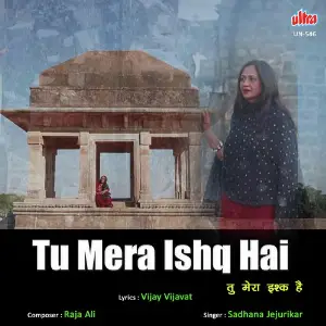Tu Mera Ishq Hai image