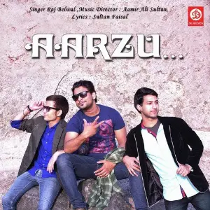 Aarzu image