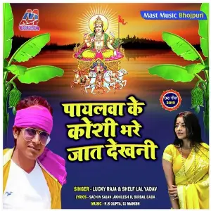 Payalwa Ke Koshi Bhare Jaat Dekhani image