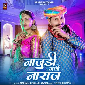 Najudi Ghani Naraj image