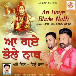 Aa Gaye Bhole Nath image