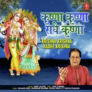 Krishna Krishna Radhe Krishna image
