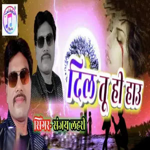 Dil Tu Hi How image