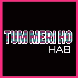 Tum Meri Ho image