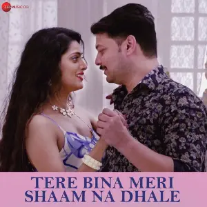 Tere Bina Meri Shaam Na Dhale image