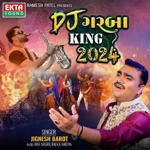 Dj Kheladi King 2024 image