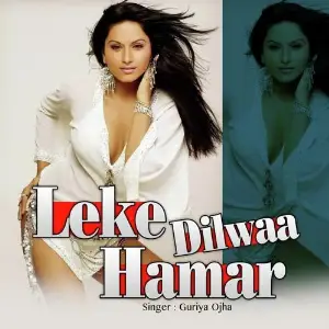 Leke Dilwaa Hamar image