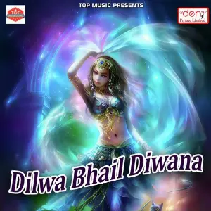Dilwa Bhail Diwana Various Artists