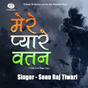 Mere Pyare Watan - Single image