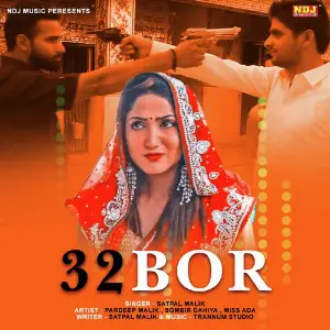 32 Bor image