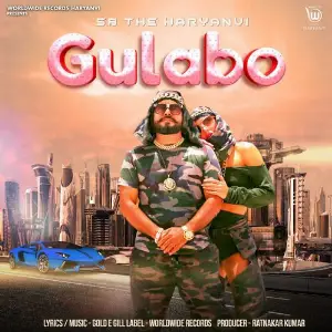 Gulabo image