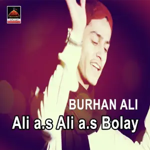 Ali a.s Ali a.s Bolay image