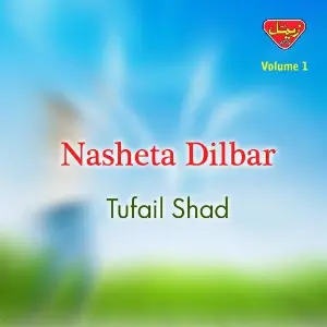 Nasheta Dilbar, Vol. 1 image