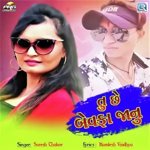 Tu Chhe Bewafa Janu image